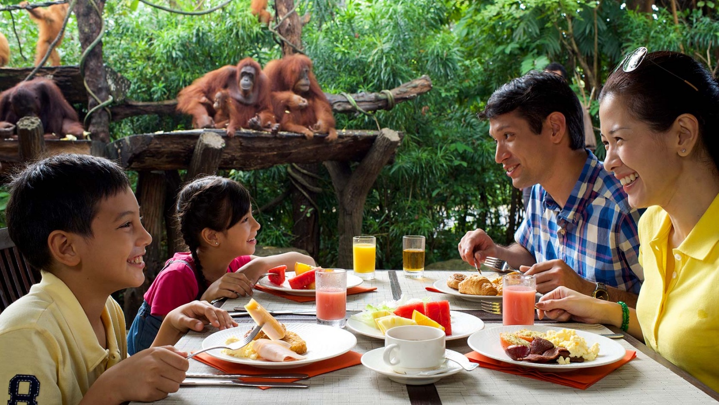 Nikmati santapan keluarga bersama orangutan di Singapore Zoo.