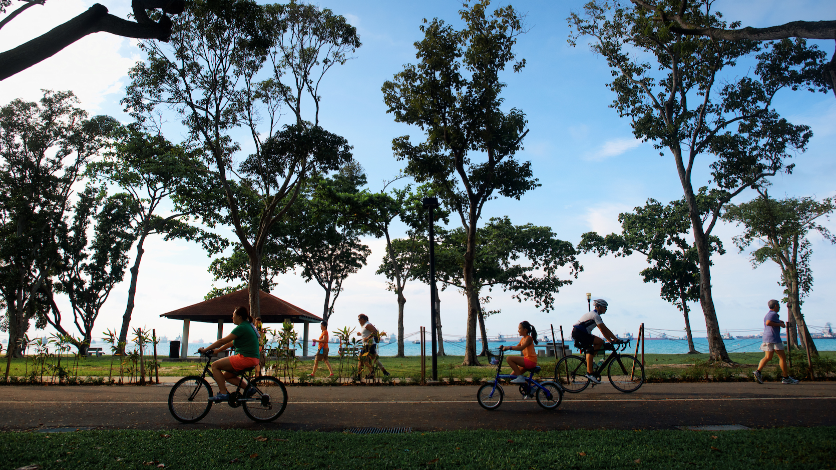 Go cycling east on sale coast park