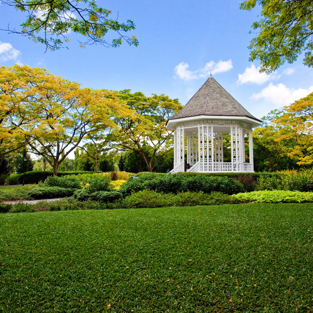 新加坡植物园 - Visit Singapore 官方网站