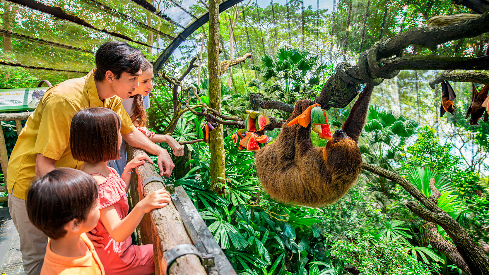 シンガポール動物園 - Visit Singapore 公式サイト