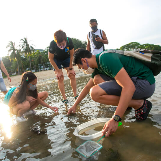 Explore Sustainable and Responsible Travel in Singapore