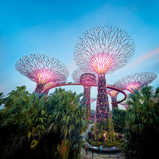 Singapore's Seasonal Delights: Travel Highlights & Deals