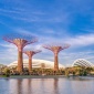 Hình chụp góc rộng Supertree Grove với Flower Dome ở đằng sau