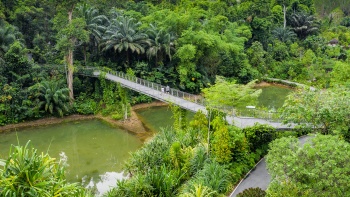 Singapore Botanic Gardens (Vườn Bách thảo Singapore)